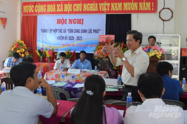 Kiên Giang Thành lập hợp tác xã chuyên nuôi tôm càng xanh