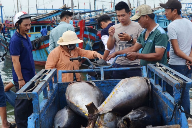 Ngư dân gặp khó trong mùa biển động