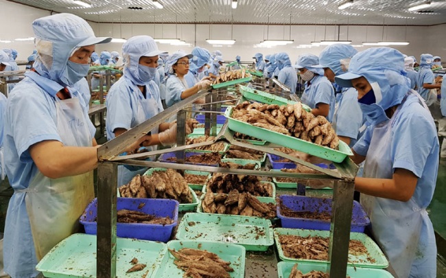 Phú Yên Doanh nghiệp thủy sản ứng dụng công nghệ cao vào sản xuất, nuôi trồng