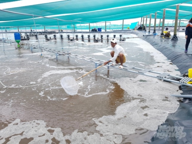 Hòa Bình bứt phá toàn diện nhờ thế mạnh lúa, tôm