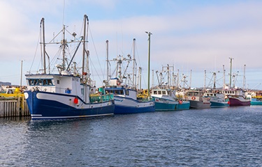 Canada phê chuẩn PSMA trong cuộc chiến chống IUU