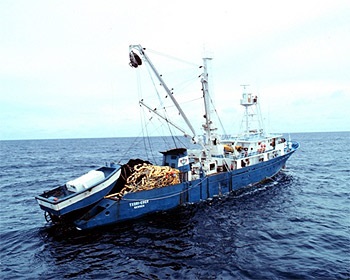 EU và Mauritius ký thỏa thuận hợp tác khai thác cá ngừ