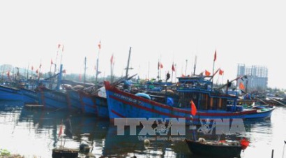 Bến Tre phát triển tổ đội liên kết đánh bắt hải sản xa bờ