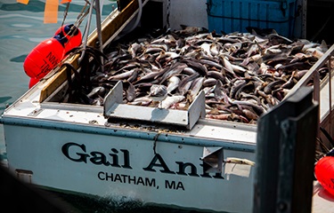 Dịch Covid-19 khiến giá thủy sản ở Mỹ giảm