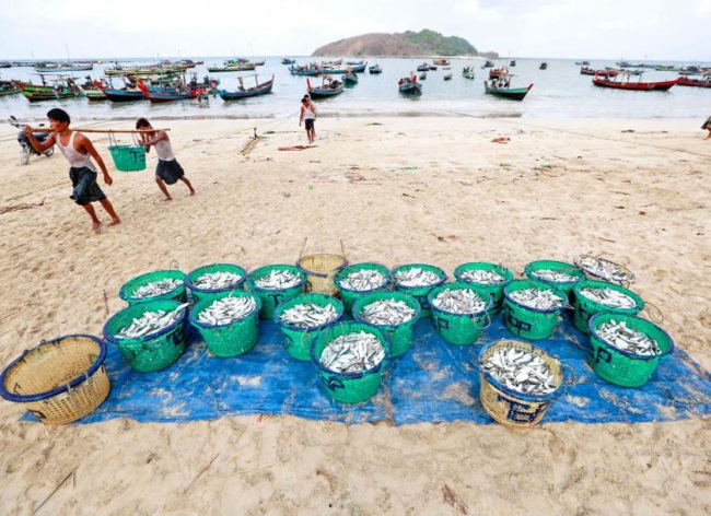 Myanmar trấn áp hoạt động khai thác bất hợp pháp tại Mergui