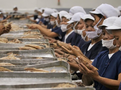 Sản lượng khai thác cá ngừ ảnh hưởng tới xuất khẩu của Philippines