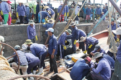 Bến Tre Hơn 14.000 lao động trong các tổ đội đánh bắt thủy sản