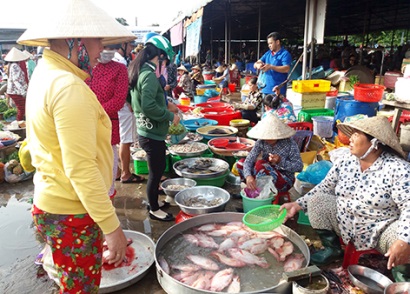 Hậu Giang Giá cá đồng giảm hơn 10.000 đồngkg