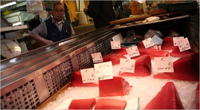 Nhật Bản giảm nhập khẩu cá ngừ vây xanh