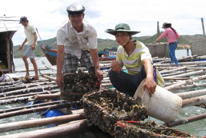 Nuôi trồng thủy sản tại Phú Yên Tập trung phát triển các mô hình mới