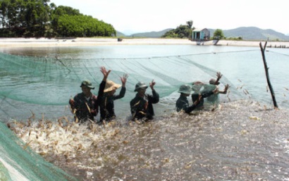 Bộ trưởng Nông nghiệp Mời truyền thông quốc tế “giải oan” cho cá tra