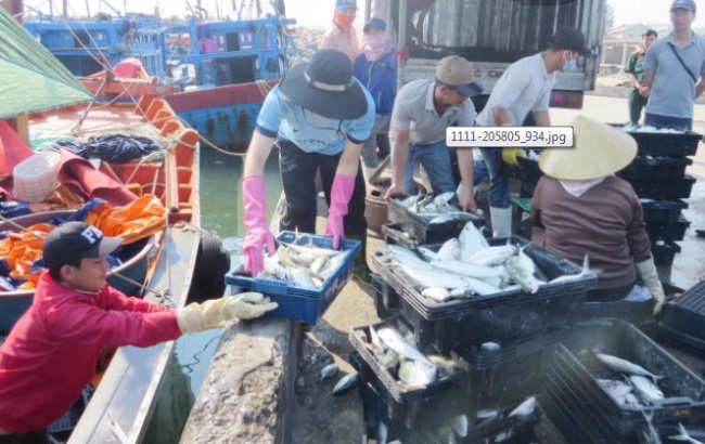 Quảng Bình Cùng ngư dân gỡ thẻ vàng