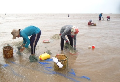 Hiệu quả từ các mô hình hợp tác xã thủy sản