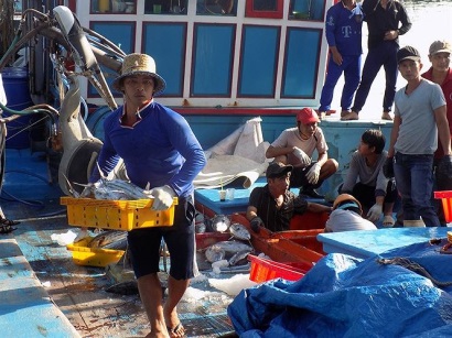 Khánh Hòa Chuỗi liên kết khai thác, chế biến, tiêu thụ cá ngừ sọc dưa thu hoạch 40 tấn cá