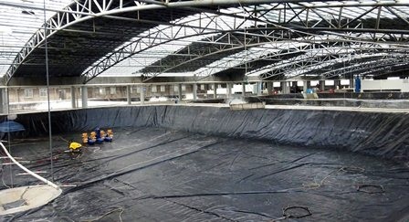 Trung Quốc Guolian thu hoạch tôm vụ đông đầu tiên từ hệ thống nhà kính