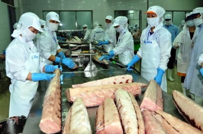 Container hàng thủy sản nhập khẩu không có HC bị nghẽn tại cảng đã được giải phóng