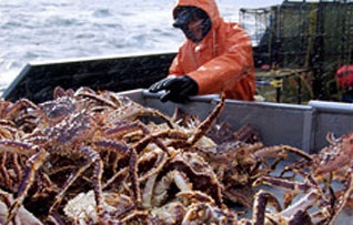 SIMP có thể làm giảm xuất khẩu cua huỳnh đế của Nga sang Mỹ