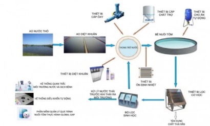 Nuôi tôm Việc ứng dụng RAS không thể chậm trễ hơn!