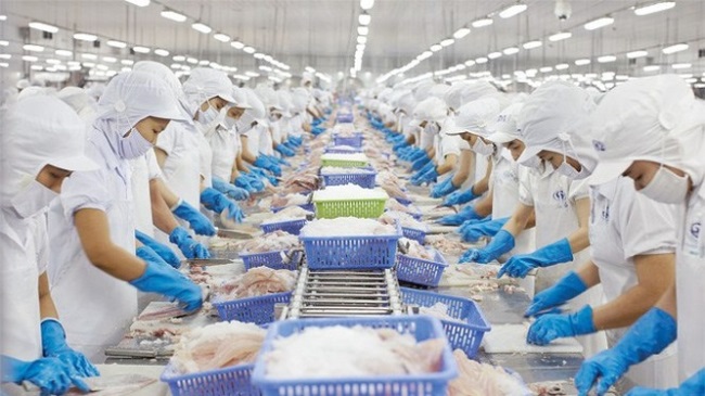 39 doanh nghiệp thủy sản Việt Nam xuất khẩu uy tín năm 2019