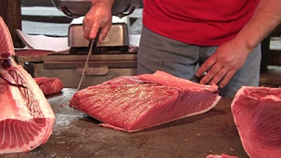 Giá cá ngừ có thể giảm trong tháng cuối năm 2016