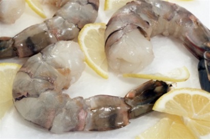 Australia Xem xét và cập nhật về việc đình chỉ tạm thời nhập khẩu tôm nguyên con và sản phẩm từ tôm chưa qua nấu chín