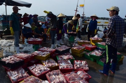 THÔNG CÁO BÁO CHÍ Sản phẩm hải sản xuất khẩu vẫn đảm bảo chất lượng ổn định