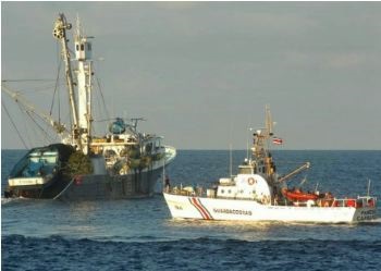 Giới hạn cấp phép khai thác cá ngừ