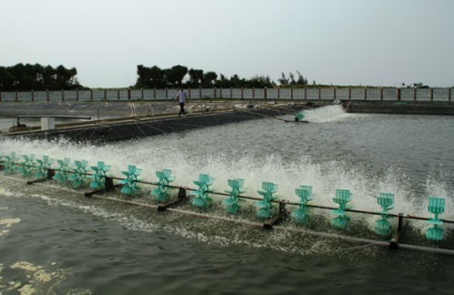 Thanh Hóa Phòng chống rét trong nuôi trồng thủy sản