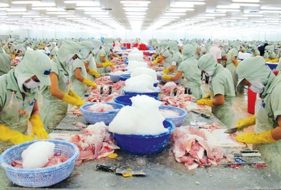 Doanh nghiệp thủy sản tiếp tục nỗi lo tăng lương tối thiểu vùng