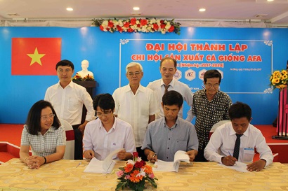 Nâng cao chất lượng cá tra để xuất khẩu