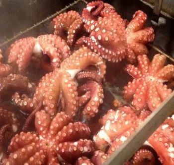 Giá bán lẻ bạch tuộc hấp tại Tokyo và Osaka giảm