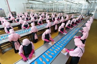 Thủ tướng Chính phủ chỉ đạo Bộ Y tế báo cáo về Nghị định 092016NĐ-CP về tăng cường vi chất dinh dưỡng vào thực phẩm