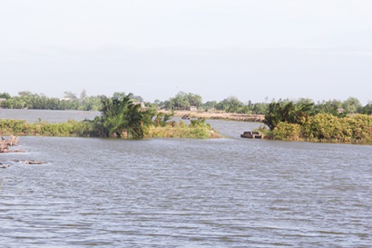 Nuôi tôm quảng canh 2 giai đoạn hiệu quả cao