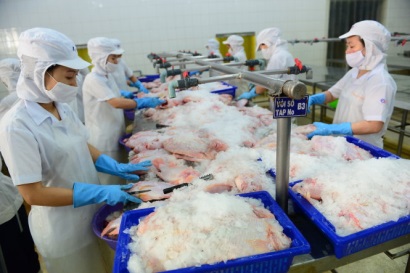 Bổ sung muối iôt Doanh nghiệp kêu trời, bộ bảo cứ làm đi