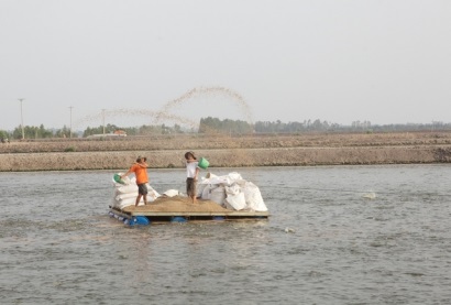 Đồng Tháp Giá cá tra tăng nhưng người nuôi chưa muốn mở rộng diện tích