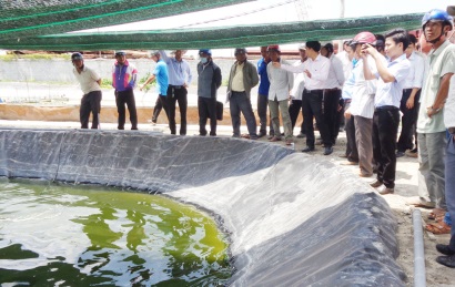 Cần Giuộc Hội thảo Chuyên đề nuôi tôm nước lợ công nghệ cao