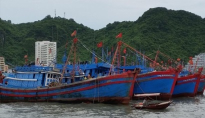 Xuất khẩu hải sản sang EU có nguy cơ bị “thẻ vàng” 