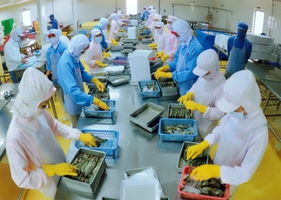 Đầu tư gần 165 tỷ đồng tái cơ cấu ngành thủy sản giai đoạn 2017-2020