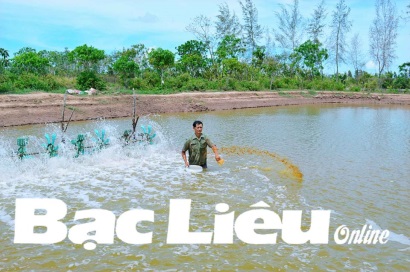 Bí quyết làm giàu bằng tôm sạch Nông dân trút được gánh nặng “trắng đêm” lo cho tôm ăn