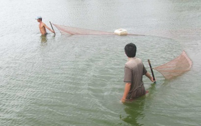 Thành phố Hồ Chí Minh Sản lượng thuỷ sản tháng 1 giảm 15%