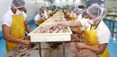 Ecuador tiếp tục được miễn thuế sau Brexit