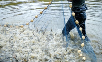 Xin cơ chế huy động vốn xây dựng lưới điện cho ngành tôm