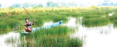 Kiên Giang Nông dân lao đao vì không có nguồn nước mặn nuôi tôm