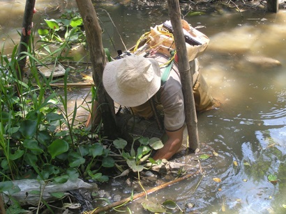 Bảo vệ nguồn lợi thủy sản lâu dài