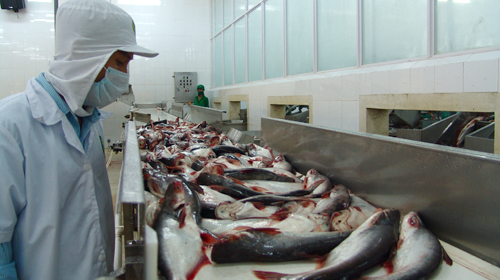 CL-FISH CORP Thông báo Nghị quyết Hội đồng quản trị