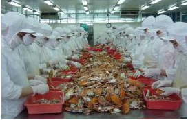 VISEACORP Giải trình việc cổ phiếu tăng trần 10 phiên liên tiếp