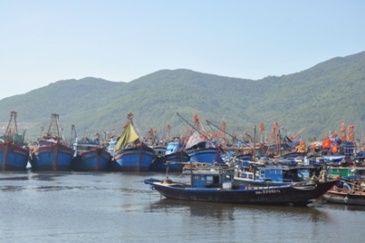 Sản lượng khai thác 5 tháng ước đạt 1.327 nghìn tấn thủy sản