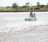 Sản lượng nuôi trồng thủy sản 8 tháng đầu năm đạt 2.303 ngàn tấn