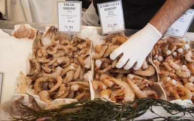 Nhập khẩu tôm của Mỹ tăng