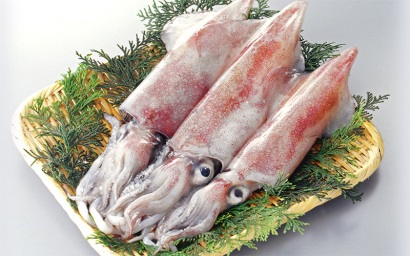 Nhật Bản Sản lượng khai thác mực ống giảm mạnh